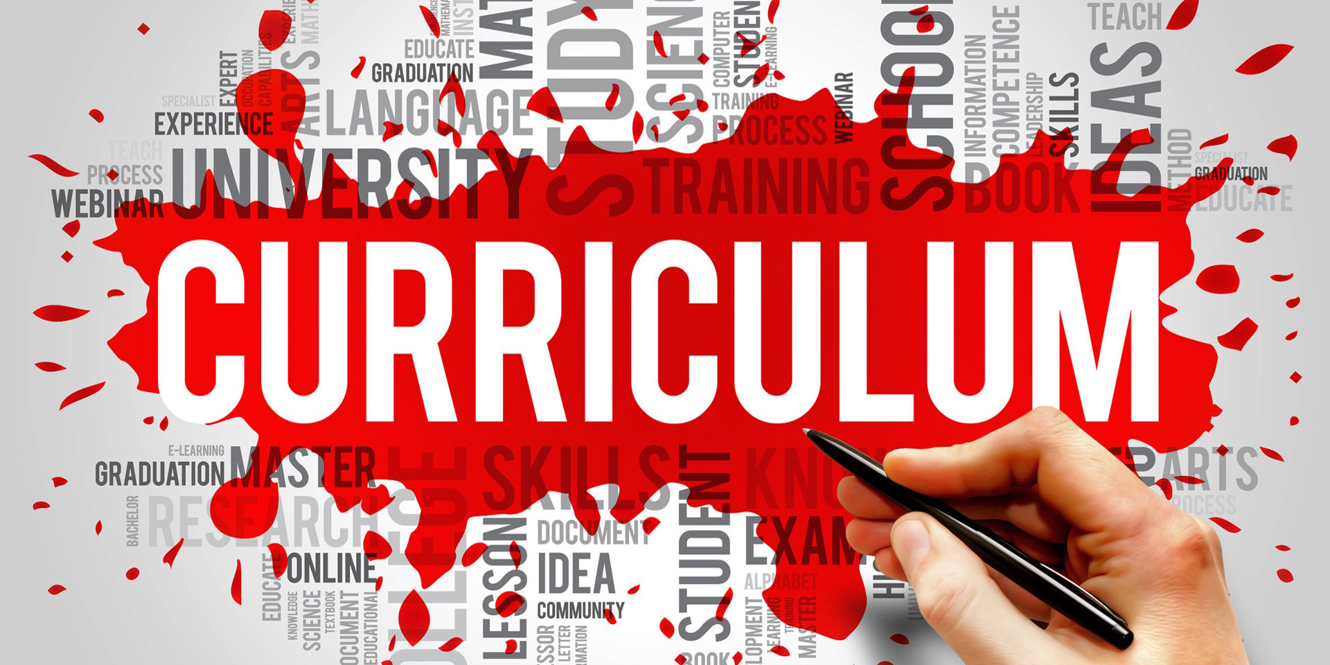 How to Address Common Challenges in Curriculum Harmonization?